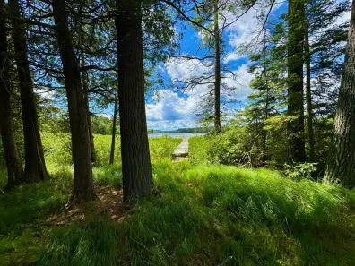 Muskellunge Lake (C) Property 3 Acres Timbering Haven Dr Photo 2