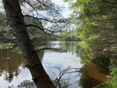 Long Lake Property 1529 Dam Rd Photo 2