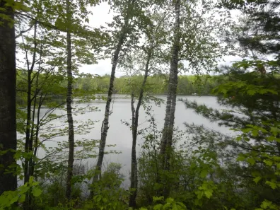 Picture 1 - Joyce Lake Property 6120 Claire Fire Rd