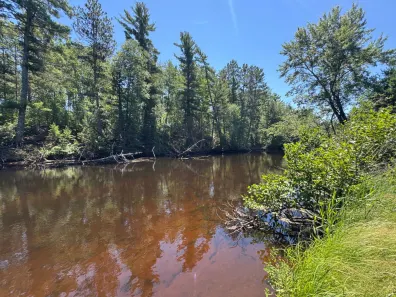 River Property Property 4984 Willow Dam Rd Photo 2