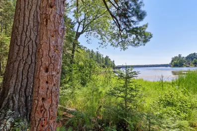 Picture 1 - Lake Content Property 8331 Awassa Ln