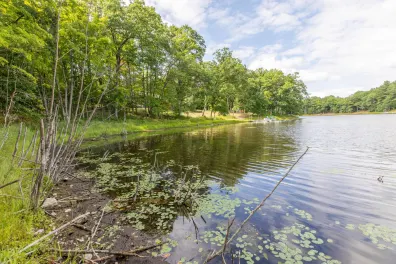 Prune Lake lot picture
