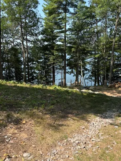 Picture 1 - Horsehead Lake (LT) Property 7665 Trout Rd