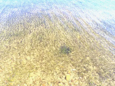 Squash Lake Property ON Long Lake Rd Photo 2