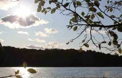 Picture 1 - Crane Lake Property Lot 4 Forest Ln
