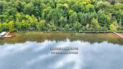 Harris Lake Property 6244 Lakeshore Dr Photo 2
