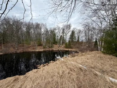 Picture 1 - Undocumented Lake Property 3633 Kuczmarski Dr