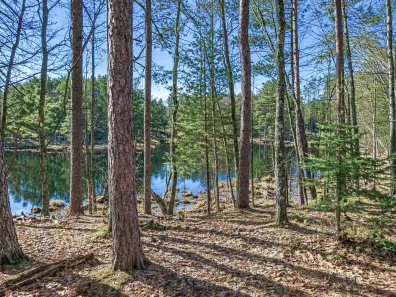 Undocumented Lake Property 7768 Hiawatha Cr Photo 2