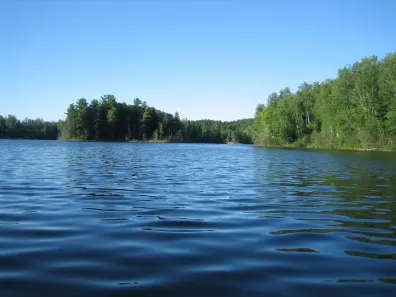 Island Lake LDF Property W3472 Island Point Rd Photo 2