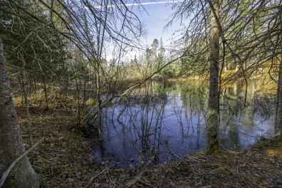 River Property Property Lot 9 Cth H Photo 2
