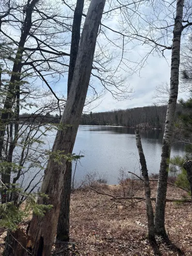 Picture 1 - Joyce Lake Property off Cth S