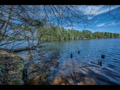 Yellow Birch Lake lot picture