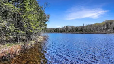 Pardee Lake Property TBD Pardee Lake Ln E Photo 2