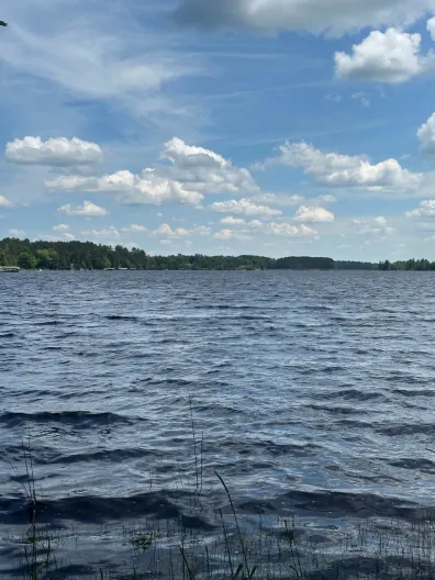 Rice River Flowage lot picture