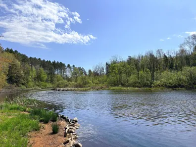 River Property Property 11305 Cth M Photo 2