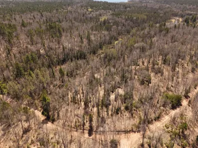 River Property Property 15.86 AC Mill Creek Ln Photo 2