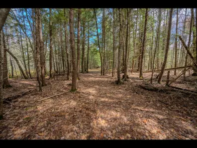 Clearwater Lake Property Lot 21 Bonita Pt Photo 2