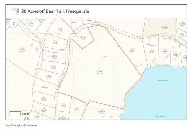 Morton Lake Property Lot off Bear Trl Photo 2