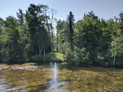 Picture 1 - North Twin Lake Property Off Briggs Ln