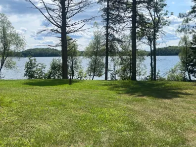 Horsehead Lake lot picture
