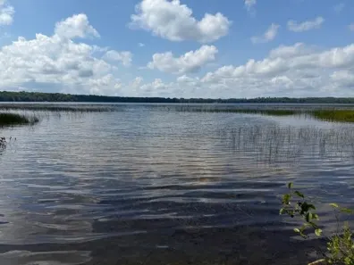 Harris Lake lot picture