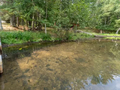 Little Muskie Lake Property 11215 Fox Fire Rd Photo 2