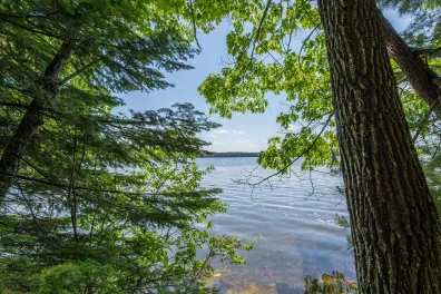 Deerskin Lake lot picture