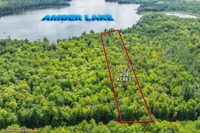 Amber Lake Property 1187 Loon Ln Photo 2