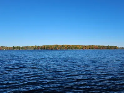 Muskellunge Lake lot picture