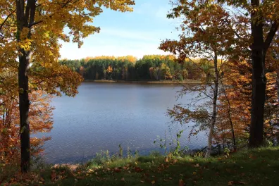 Swamsauger Lake house picture