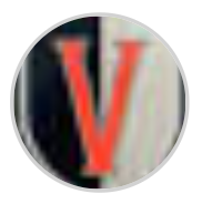 Vermillion Insurance logo