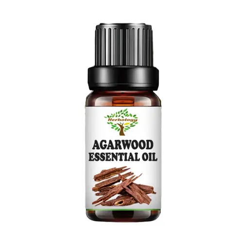 Agarwood Oil A Comprehensive Guide to Its Benefits, Uses, and Risks 10 Agarwood Oil A Comprehensive Guide to Its Benefits, Uses, and Risks