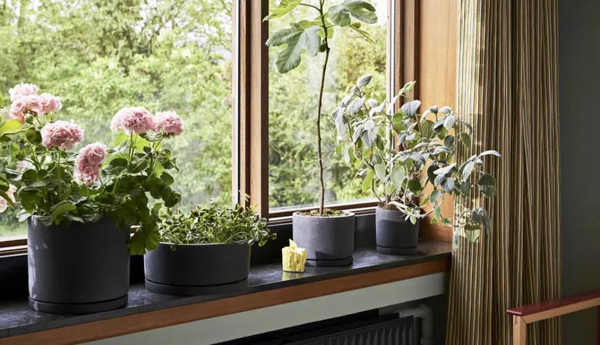 Composite Pots The Future of Gardening 9 Composite Pots The Future of Gardening