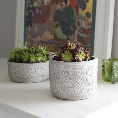 Cement Pots for Plants The Pros, Cons, and Alternatives