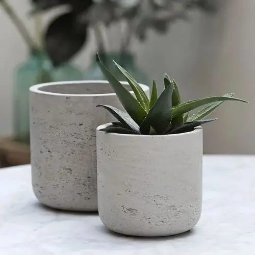 Cement Pots for Plants The Pros, Cons, and Alternatives