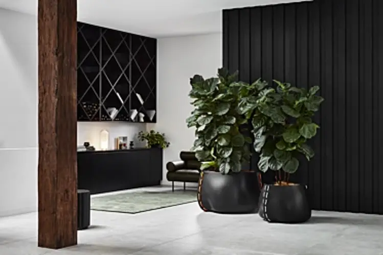 Concrete Plant Pots Durable and Stylish Options for Your Outdoor Garden 12 Concrete Plant Pots Durable and Stylish Options for Your Outdoor Garden