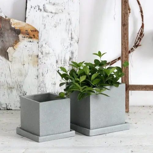 Concrete Plant Pots Durable and Stylish Options for Your Outdoor Garden 14 Concrete Plant Pots Durable and Stylish Options for Your Outdoor Garden