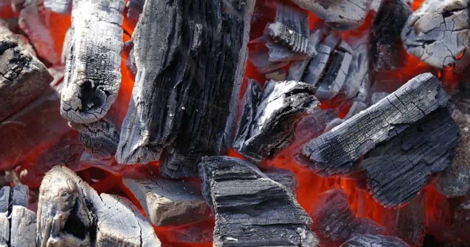 Mangrove Charcoal Quality, Suppliers, Pros and Cons 8 Mangrove Charcoal Quality, Suppliers, Pros and Cons