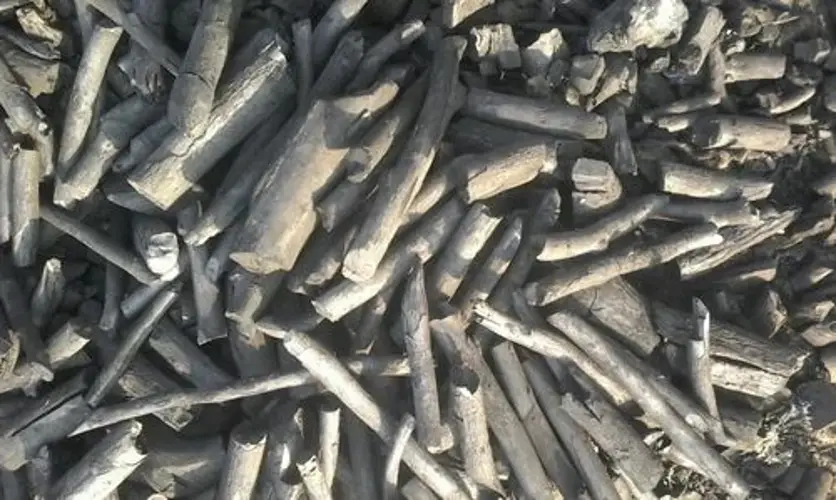 The Benefits of Bamboo Charcoal A Comprehensive Guide 13 The Benefits of Bamboo Charcoal A Comprehensive Guide