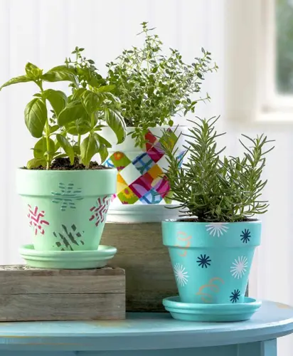 Decorative Pots How to Choose the Best Ones for Your Plants and Home? 15 Decorative Pots How to Choose the Best Ones for Your Plants and Home?