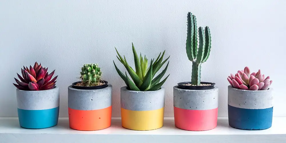 Painting Pots Tips, Ideas, and Inspiration 9 Painting Pots Tips, Ideas, and Inspiration