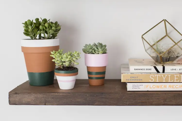 Painting Pots Tips, Ideas, and Inspiration 10 Painting Pots Tips, Ideas, and Inspiration