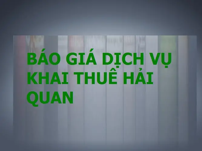 Báo Giá Dịch Vụ Hải Quan 8 Dịch vụ khai báo hải quan - Tất cả những gì bạn cần biết