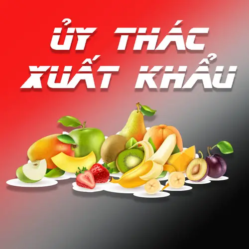 Ủy thác xuất khẩu Định nghĩa, cách thức hoạt động và các lợi ích