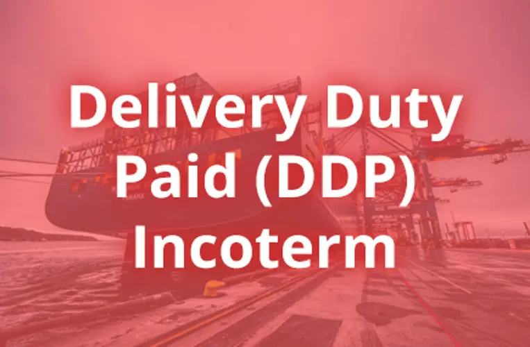 Term DDP là gì (Delivered Duty Paid)? Tất cả mọi thứ bạn cần biết!