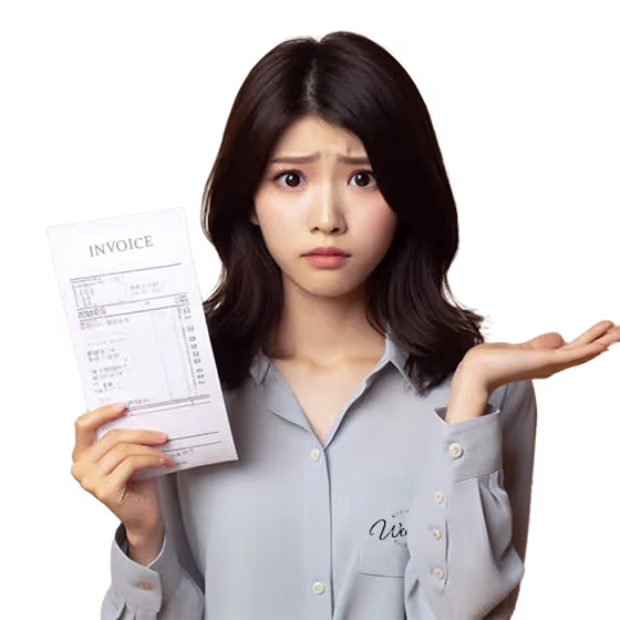 Malaysia E-Invoicing Services 1 Malaysia E-Invoicing Services in Penang Malaysia