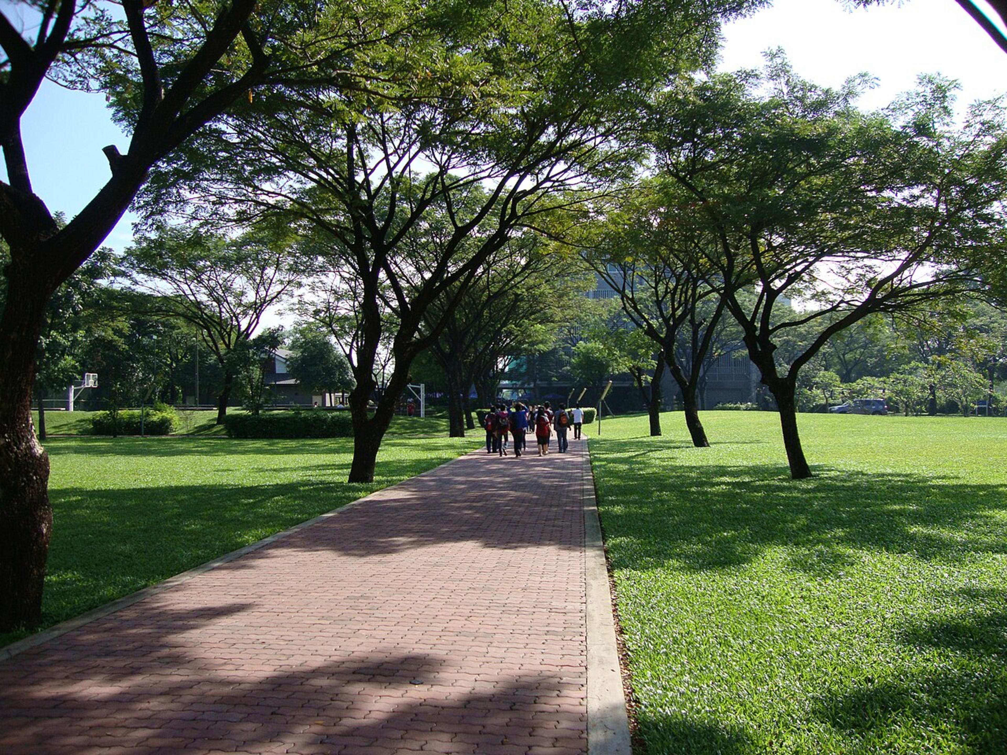 RMIT University campus