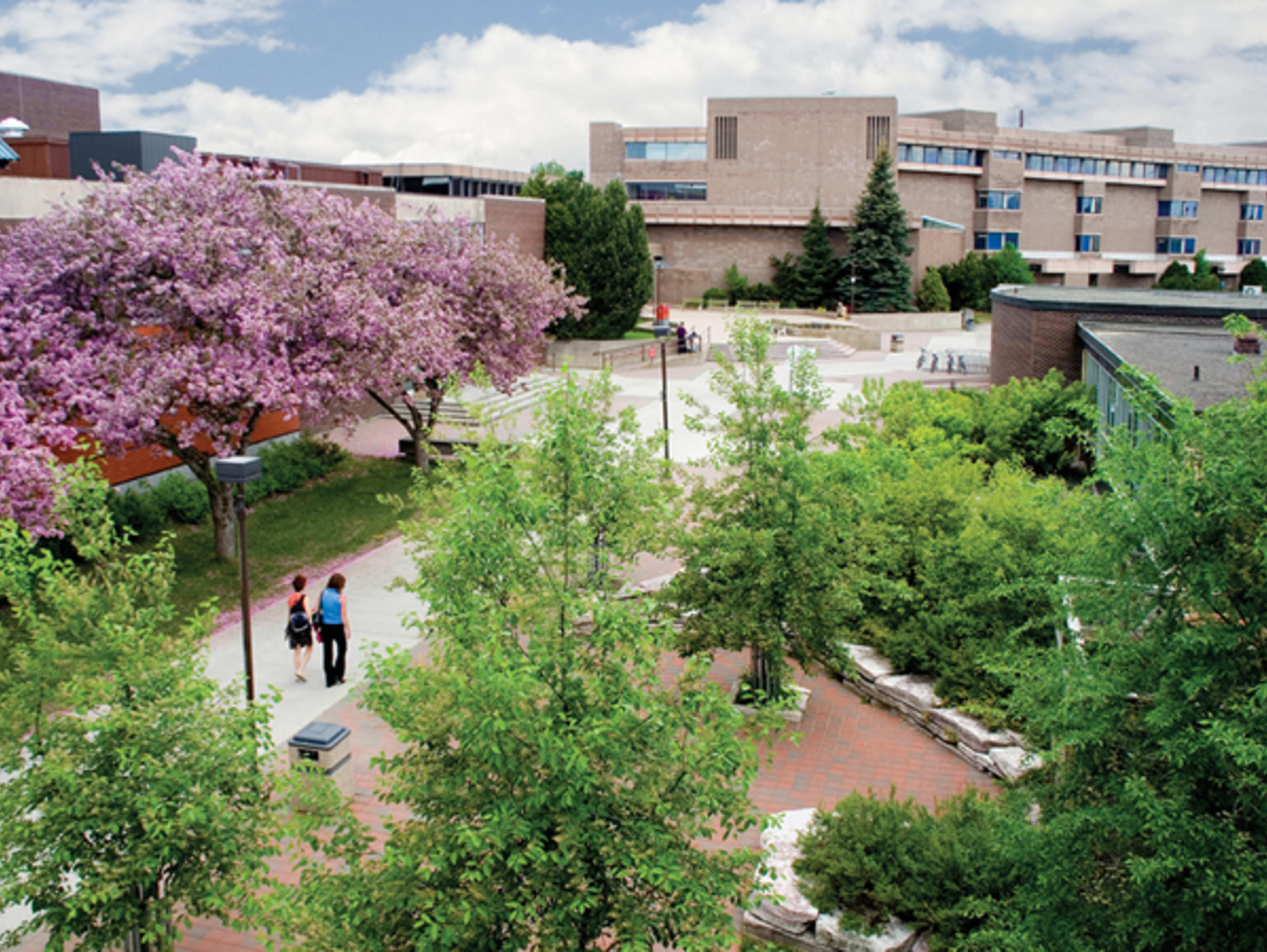Lakehead University campus