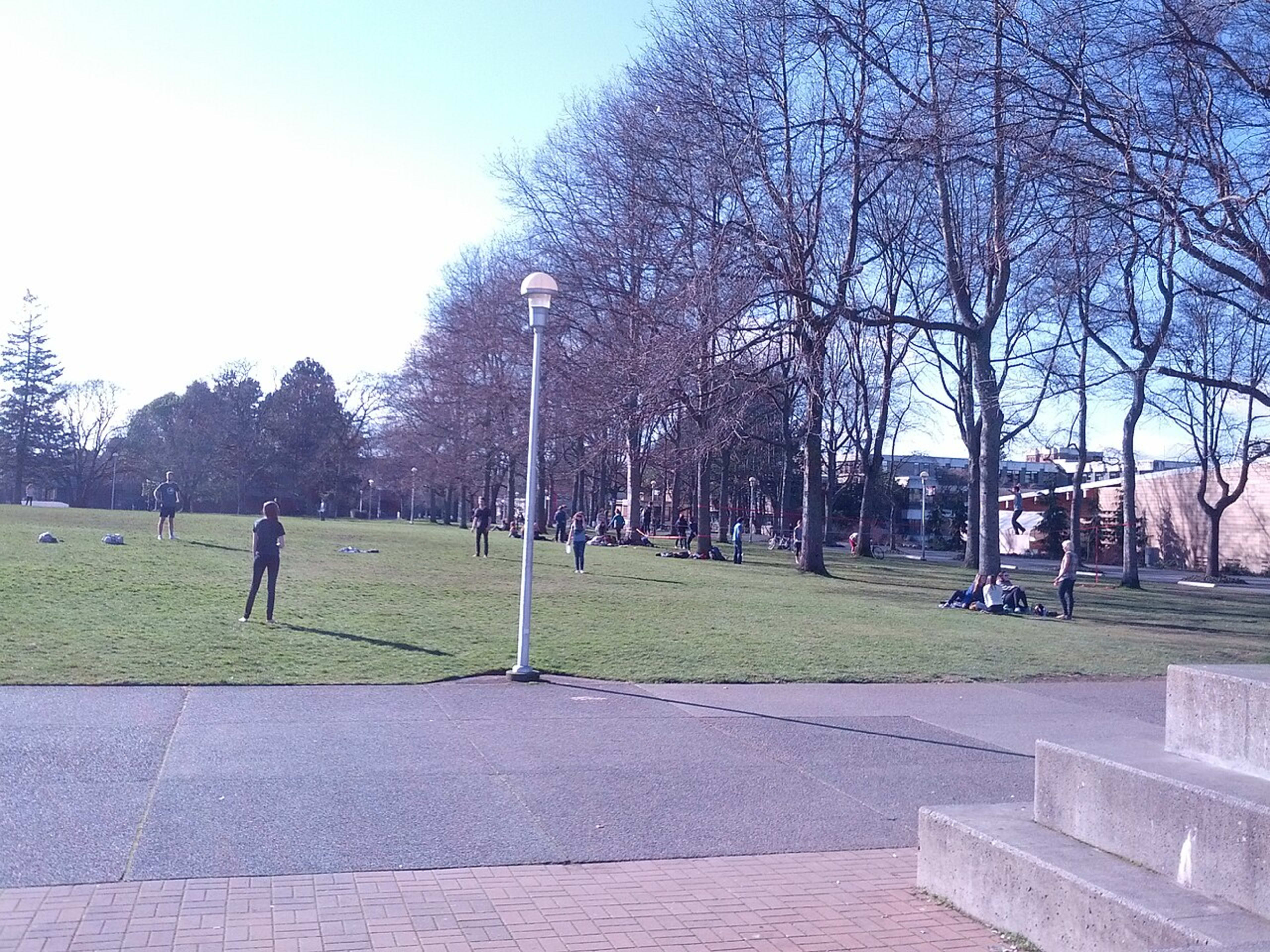 University of Victoria campus