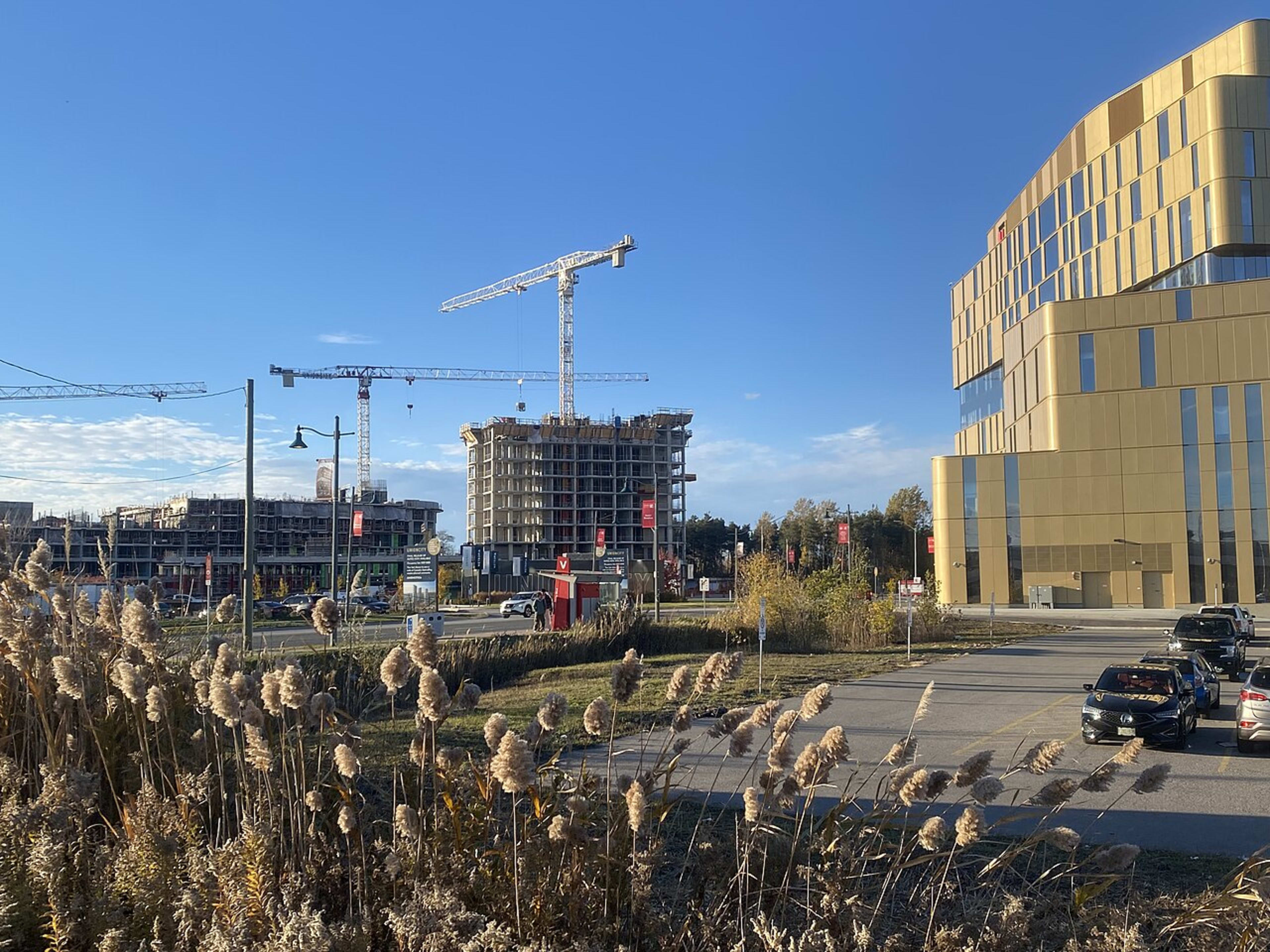 York University campus